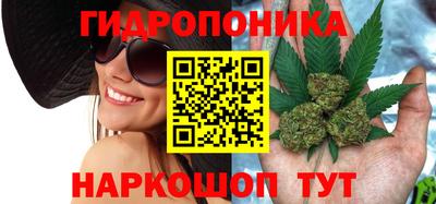 спайс Гатчина