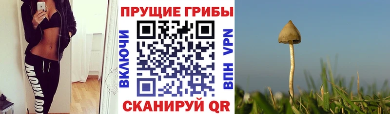 Галлюциногенные грибы мухоморы  даркнет телеграм  Дзержинский 