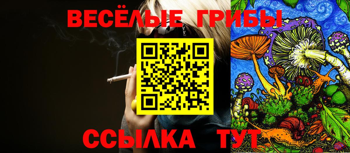Псилоцибиновые грибы Cubensis  Дзержинский 