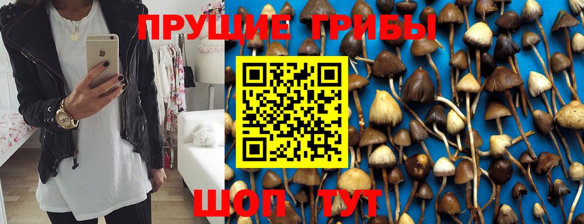 Псилоцибиновые грибы прущие грибы Дзержинский